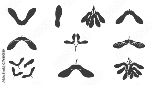 Winged seed and maple samara icons.