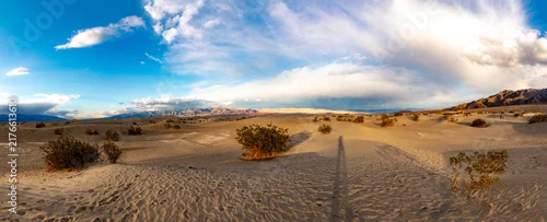 Panel kuchenny z motywem Mesquite flats in the death valley desert in sunset light