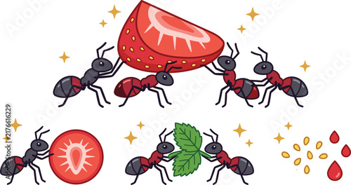 Cute Cartoon Ants Carrying Strawberry Slices Leaf and Fruit Seeds Vector Illustration Set for Children Education Storybook Graphics and Sticker Designs