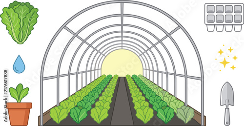 Agricultural Greenhouse Vector Illustration Set with Rows of Lettuce Plants Seedling Pot Trowel and Starter Tray Elements for Gardening Graphic Designs