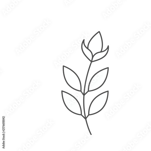 Simple line drawing of a plant with leaves and a bud
