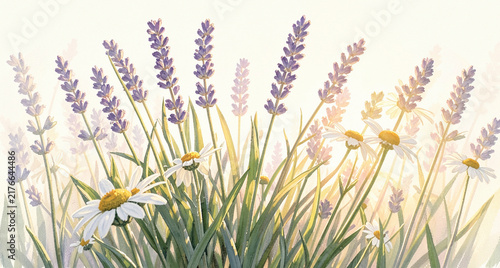 Botanical Gouache Wild Meadow Flowers Lavender