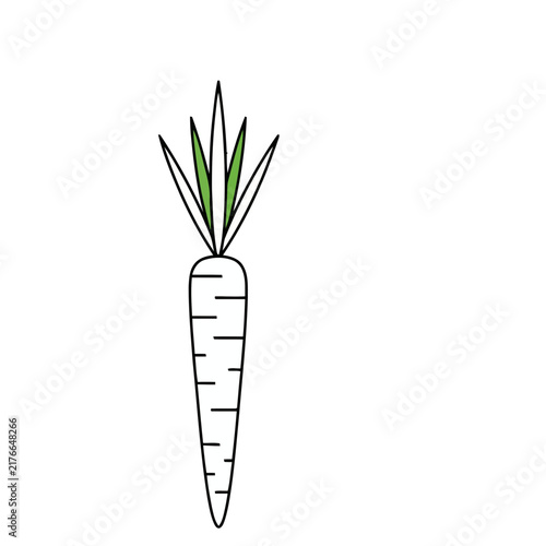 Simple carrot illustration