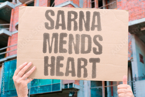 Obraz na plátně "saRNA mends heart" Self-amplifying RNA regenerates cardiac tissue