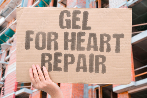 Foto "gel for heart repair" Protein delivered via gel for heart repair