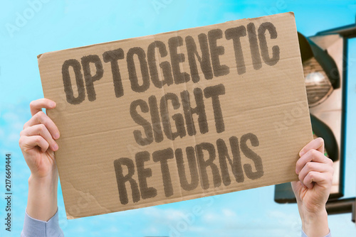 Foto "Optogenetic sight returns" Mutation-independent vision restoration technology
