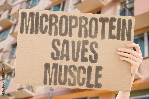 Foto "Microprotein saves muscle" Microprotein saves muscle after attack