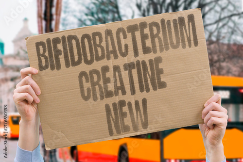 Fotografie "Bifidobacterium creatine new" Novel combination for treatment-resistant depression