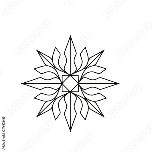 Geometric starburst with floral elements