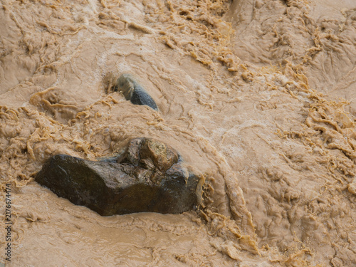 фотографія Natural hazards during the rainy season river surges and mudslides rapidly flowing muddy brown water rushes past dark scattered rocks weeds and trees within the stream or river