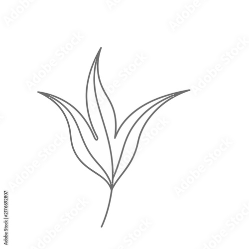 Single line drawing of a plant with three leaves