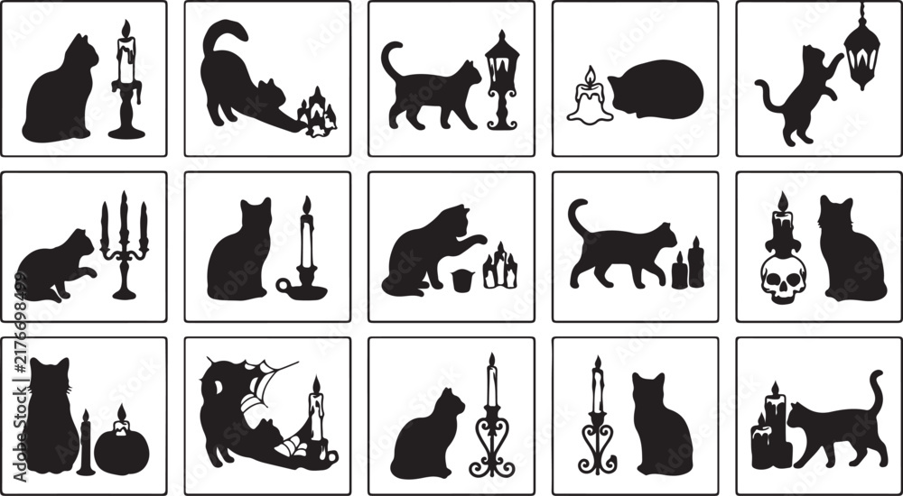 Obraz premium Black cat silhouette with halloween objects and decorations vector icons