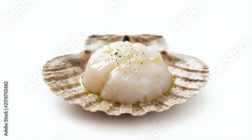 Whole Raw Scallop Shell Drizzle Oil Catching Light Pure White Background Macro

