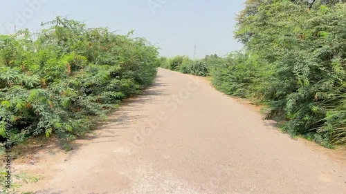 A desolate and lonely side road amidst the bushes in a deserted area. 4k video