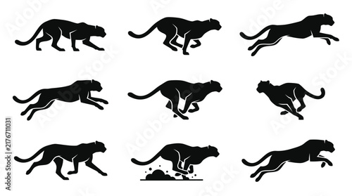Black panther running in various positions.