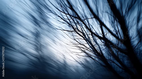 Cinematic abstract motion blur of bare tree branches against a deep blue night sky.