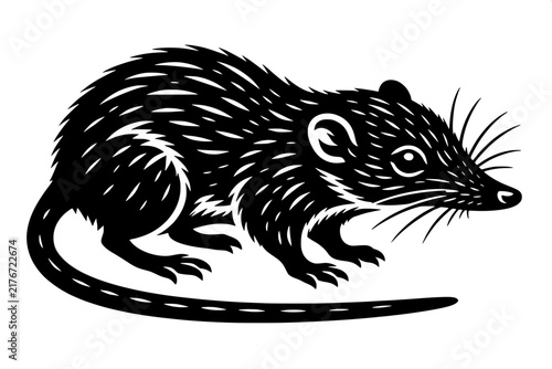 Black and White Etruscan Shrew Monochrome Animal Vector Illustration