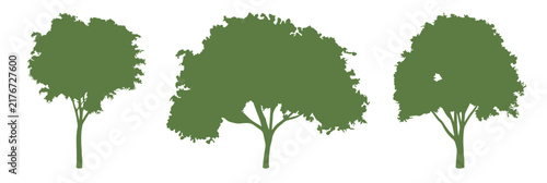 3 trees_2. Green tree vector silhouette illustration in three different shapes arranged on a white background. A wooden graphic element suitable for architectural drawings, landscape design.
