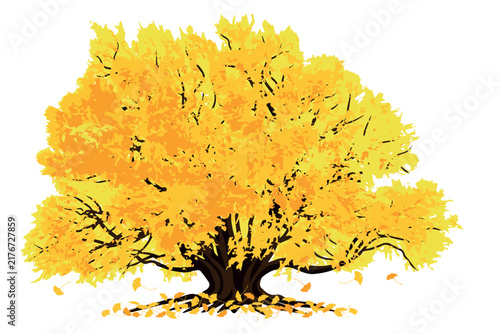 Ginkgo_1. A vector illustration design of leaves scattered beneath a large yellow ginkgo tree on a white background.