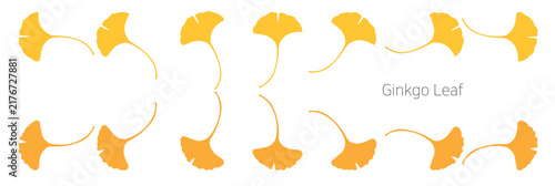 Ginkgo_2. A vector illustration of fan-shaped ginkgo leaves arranged at various angles and directions on a white background.