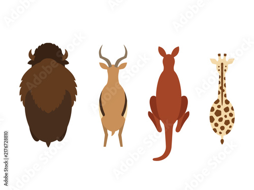 Top down view of wild animals including buffalo, antelope, kangaroo, and giraffe, wildlife collection for nature education, fauna identification