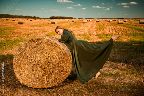 Quadro su tela Absurd Rural Theater