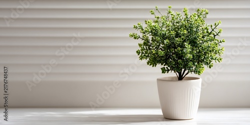 Small green plant in white ceramic pot against soft neutral background