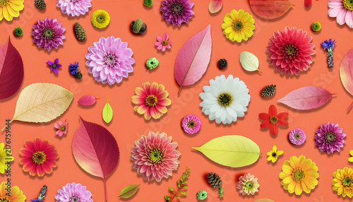 Fototapeta カラフルな秋の草花を散らした背景