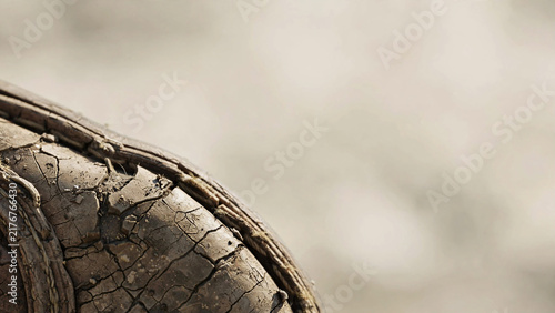 Obraz na płótnie Close-up on a cracked and weathered leather boot tread, showing the harshness of the elements.