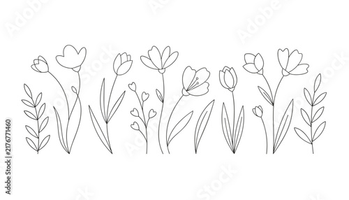 Minimalist botanical line art of diverse blooming wildflowers and delicate green leaves in a row on a white background.