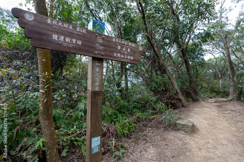 Fototapeta premium Lush Green Hiking Path on Section 5 of the Taipei Grand Trail in Neihu, Taiwan