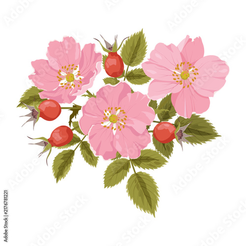 A bouquet of rose hip on a white background, framed for use as a postcard or cosmetics logo.