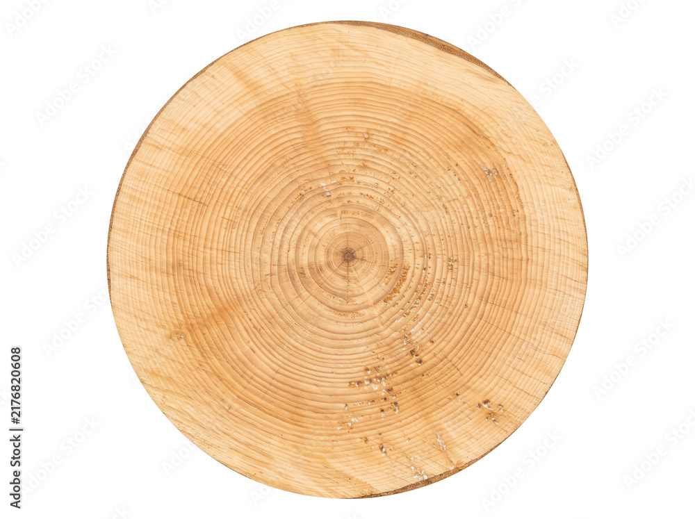 Fototapeta premium Round natural wood slice displaying concentric growth rings isolated on white background. Wood slice features a rustic timber texture and organic pattern for eco-friendly design or education.
