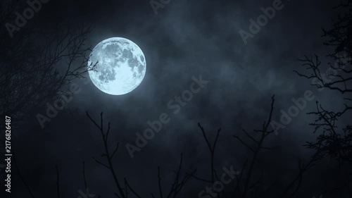 Full Moon in Dark Forest Night Landscape