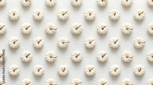 White Pumpkin Minimalist Seamless Pattern Grid
