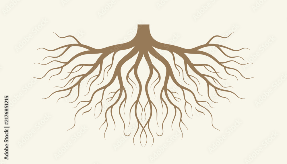 Obraz premium Symmetrical brown tree root system sprawling downwards over a solid light tan background, representing growth.