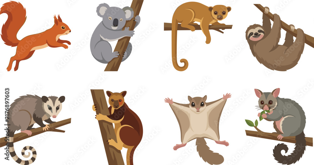 Fototapeta premium Cute Tree Dwelling Animal Cartoon Collection Featuring Squirrel Koala Sloth Lemur and Flying Squirrel