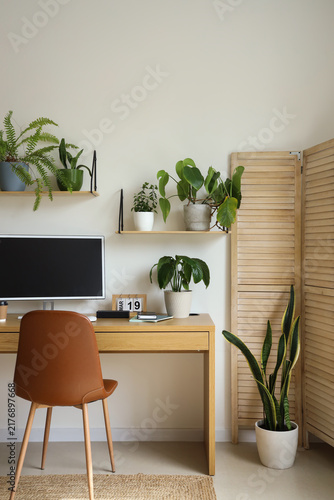 Interior of light office with workplace, shelves and green houseplants