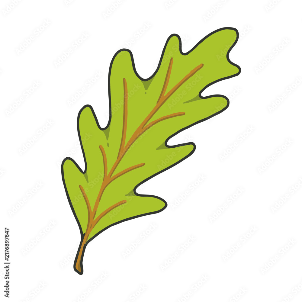 Fototapeta premium Hand drawn green autumn oak leaf vector illustration isolated on transparent background, perfect for fall and botanical designs.