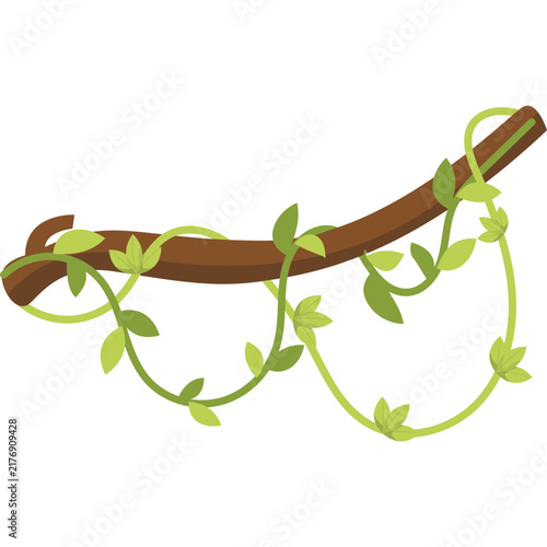 Jungle Vine Illustratiion