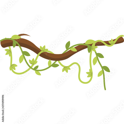 Jungle Vine Illustratiion