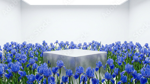 Beautiful wide environmental view photography of a Brushed Silver polished concrete floating pedestal podium surrounded by vibrant blue irises under bright high-key studio lighting. 