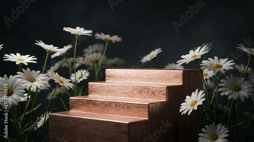 Beautiful macro close-up view photography of a Rose Gold raw wood minimalist stairs podium surrounded by pure white daisies under moody low-key lighting. 
