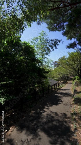 Vertical 4K Slow Pan of Forked Mountain Path at Nodake in Omura, Nagasaki, Japan