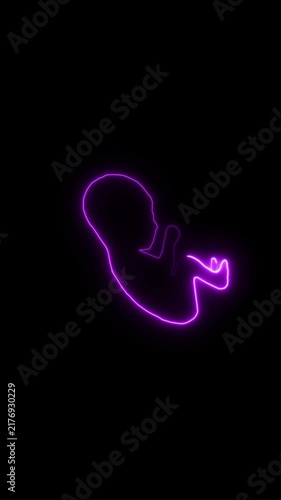 Baby unborn fetus animation displays purple neon line graphics Unborn fetus baby medical symbol highlights obstetrics embryonic growth Fetus sequence is sleek