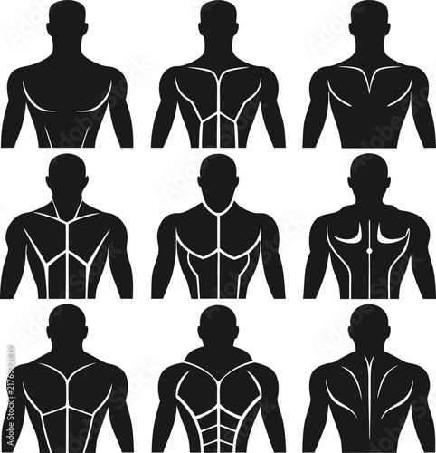 Nine black silhouettes of male torsos showing different muscle groups and anatomy lines on a plain white background