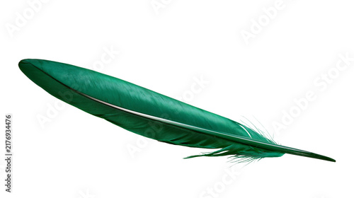 Quadro su tela Vibrant emerald green bird feather with detailed barbs and central quill