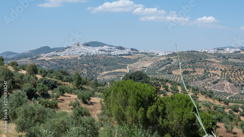Фотография Vista alejada de la hermosa villa de Olvera, dentro de la ruta de pueblos blanco