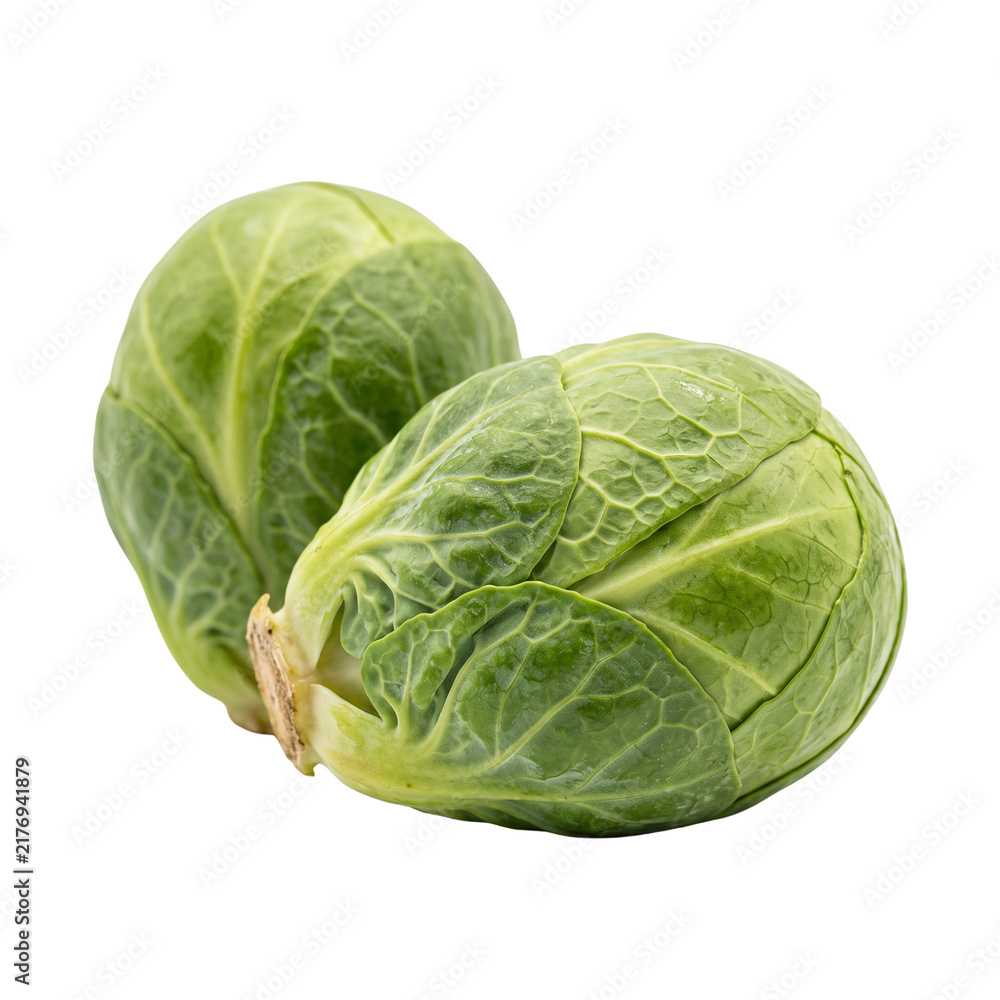 Fototapeta premium Two fresh Brussels sprouts isolated on a dark background