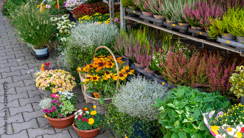 Outdoor Flower Shop with Fresh Autumn Plants and Colorful Flowers – Seasonal Gardening and Floral Display